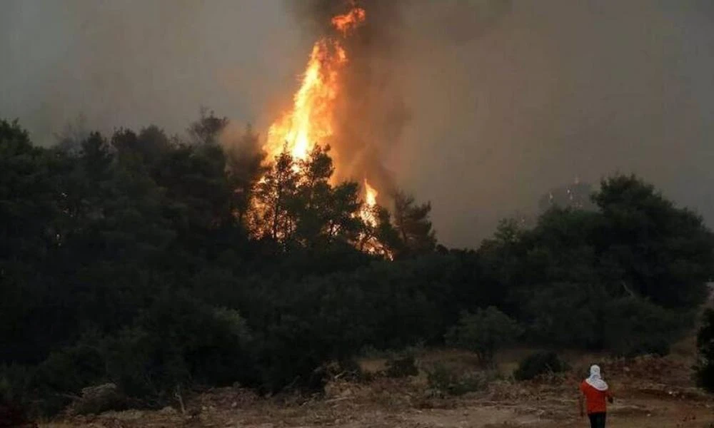 ΠΑΣΟΚ για φωτιά στο Λασίθι: "Προτεραιότητα όλων μας θα πρέπει να είναι ο άμεσος και πλήρης έλεγχος του πύρινου μετώπου"